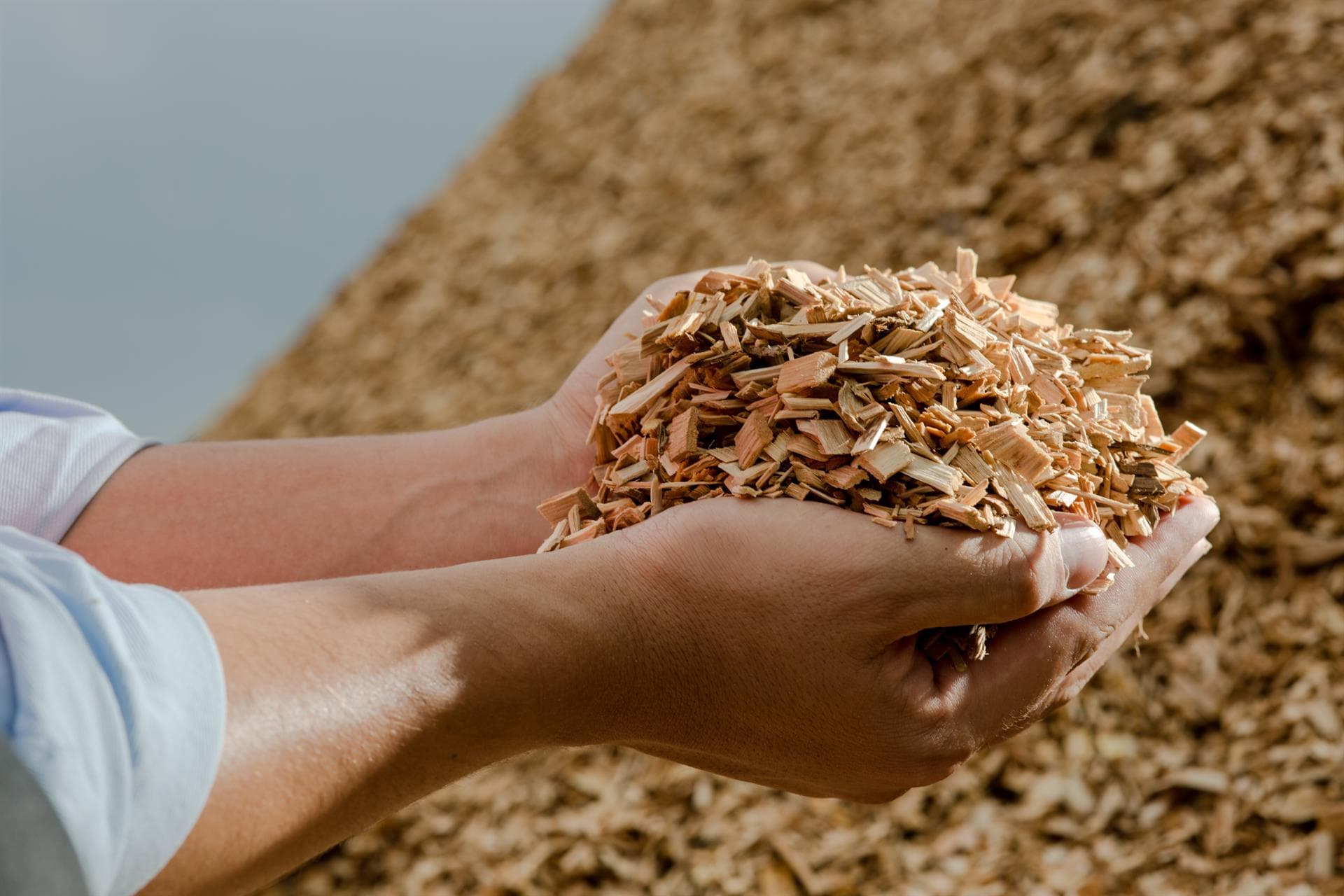 Calderas de biomasa: la opción más económica y ecológica